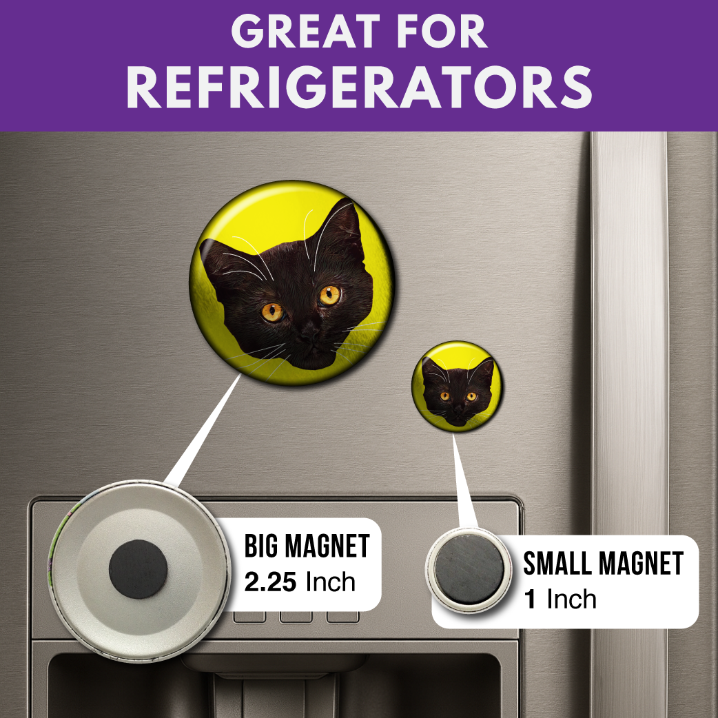 Fluorescent Felines (6-Pack) – Magnets