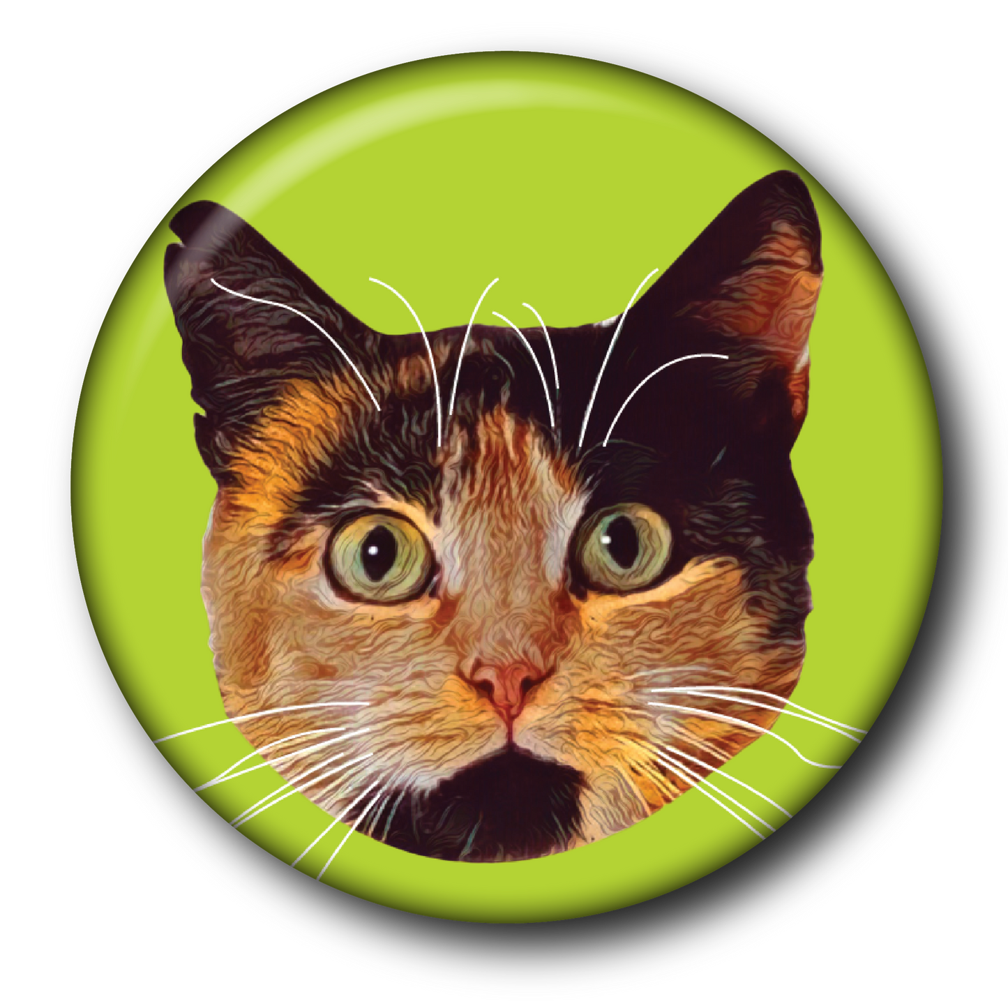 Fluorescent Felines (6-Pack) – Magnets