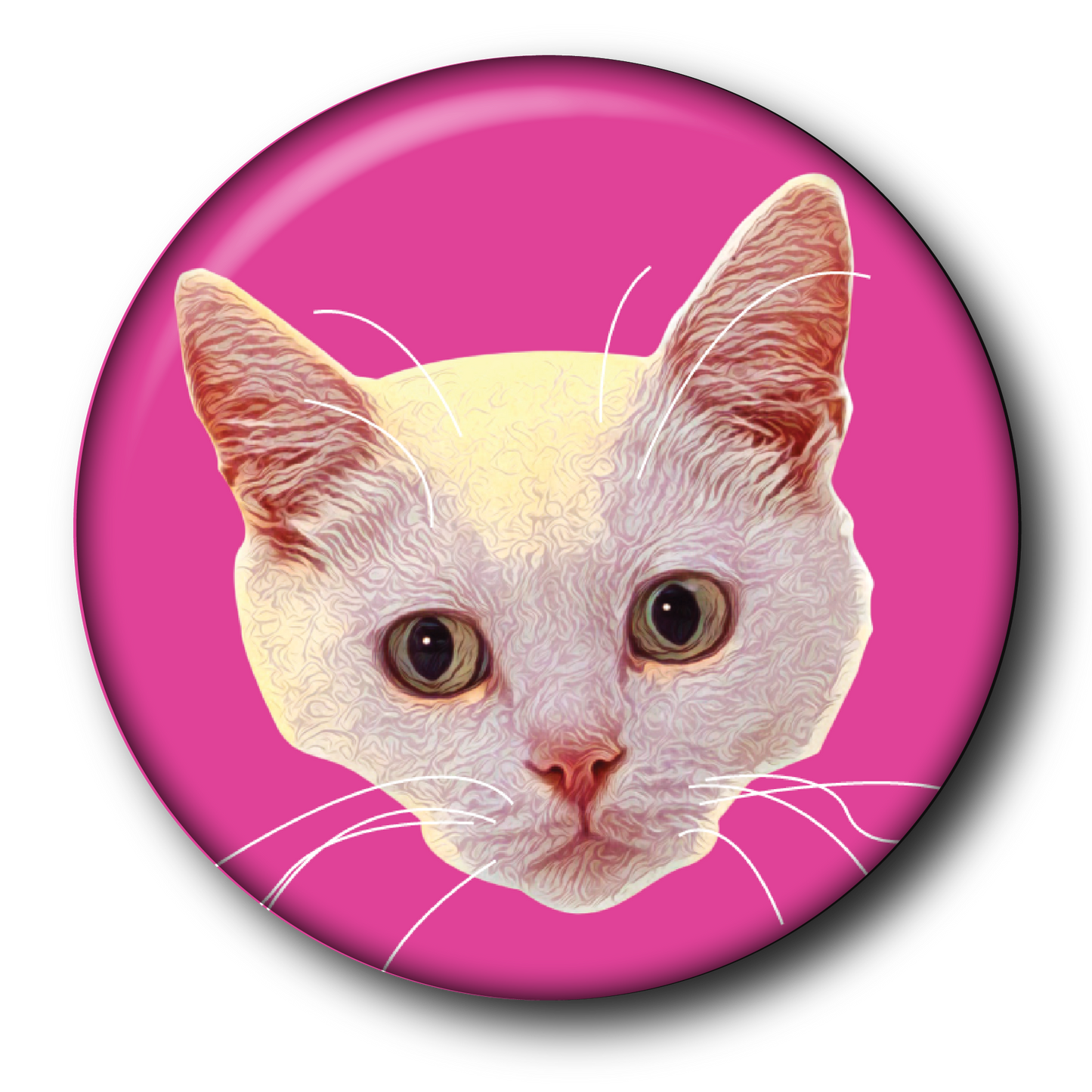 Fluorescent Felines (6-Pack) – Magnets