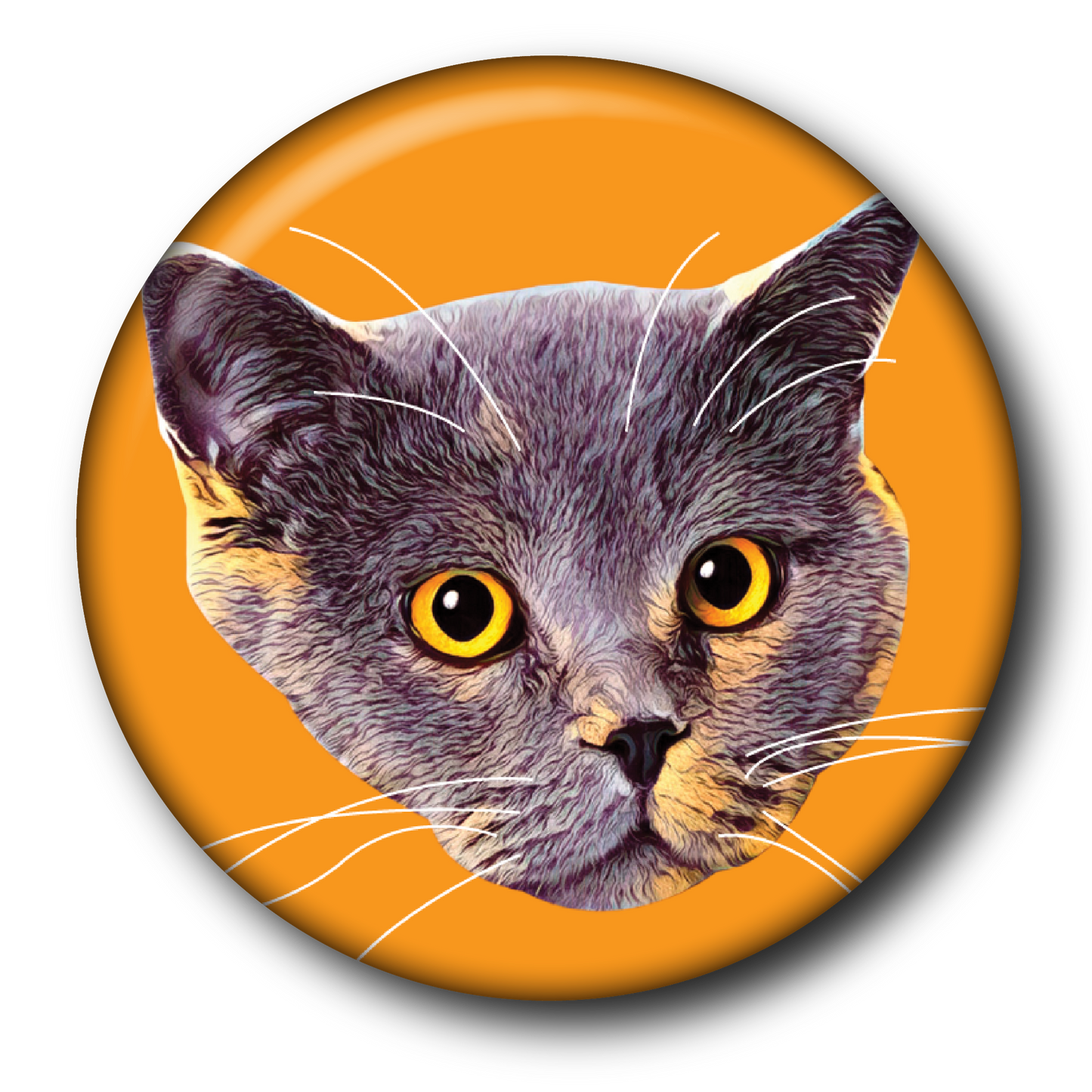 Fluorescent Felines (6-Pack) – Magnets