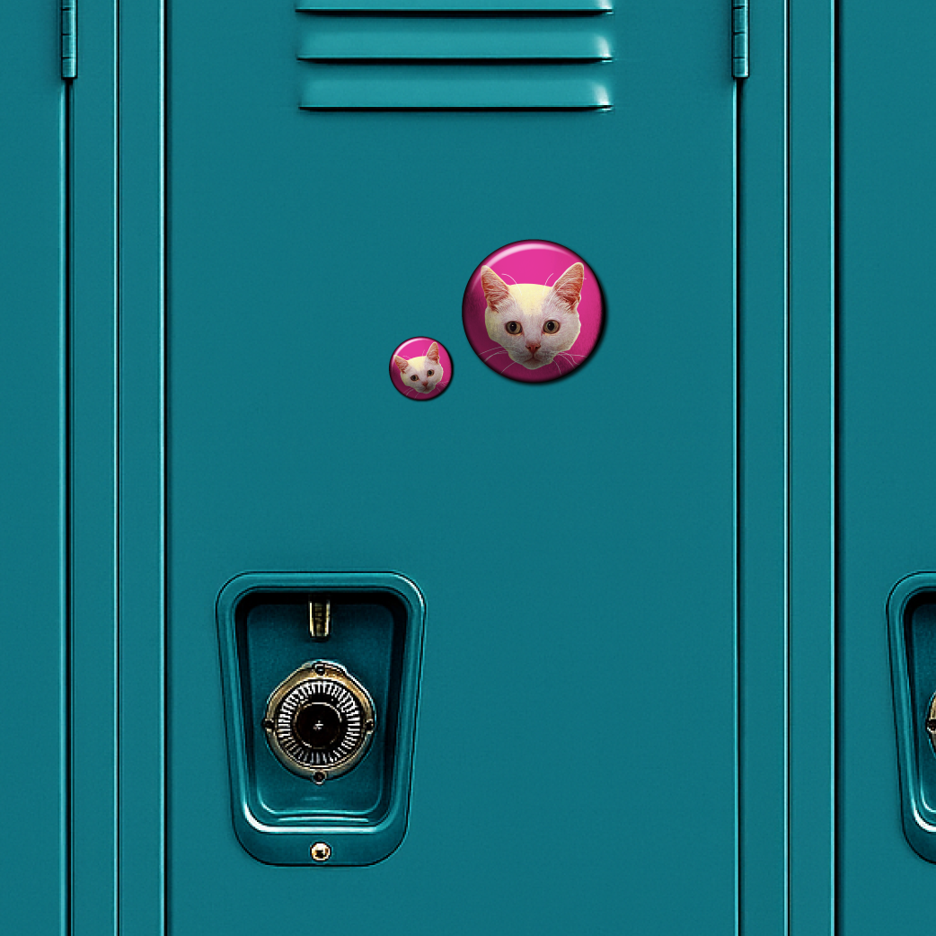 Fluorescent Felines (6-Pack) – Magnets