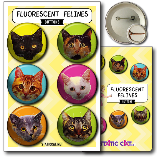 Fluorescent Felines (6-Pack) – Pins