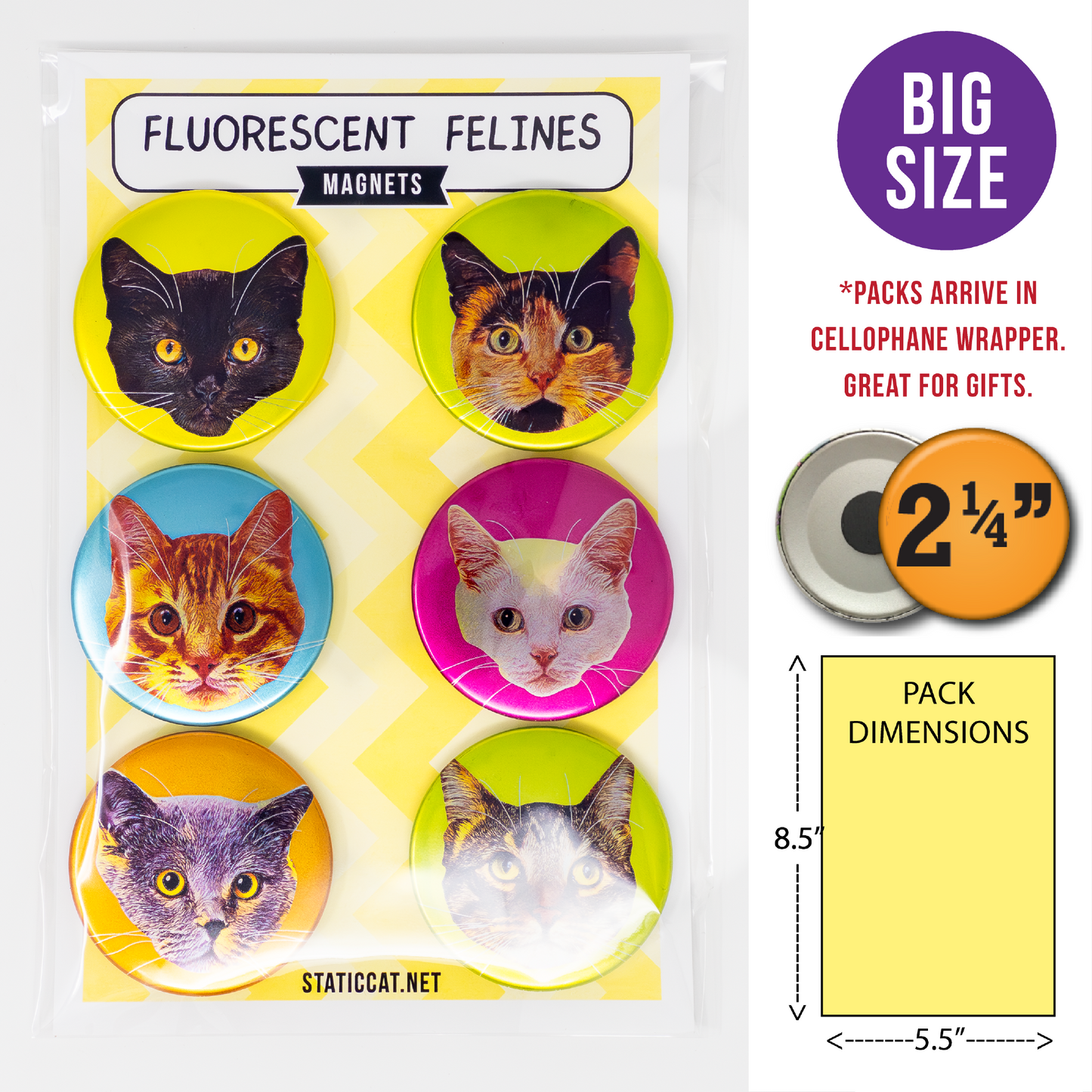 Fluorescent Felines (6-Pack) – Magnets
