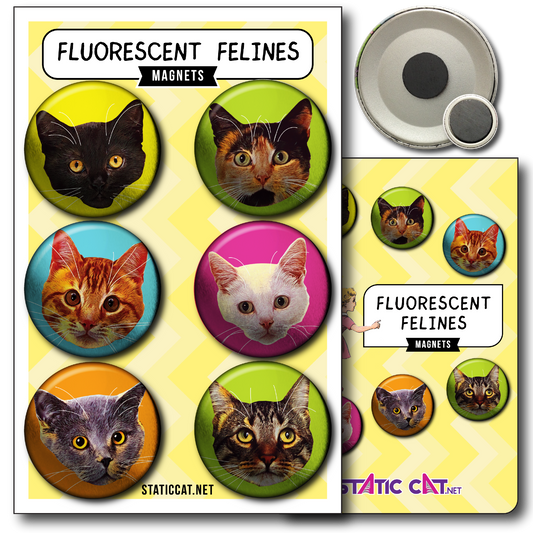 Fluorescent Felines (6-Pack) – Magnets