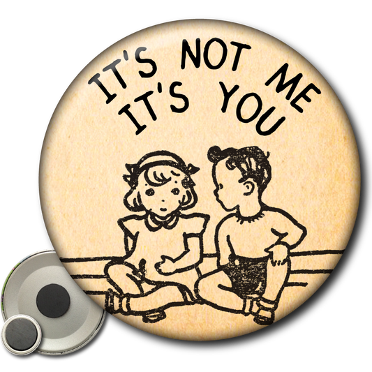 It's Not Me It's You - Magnet