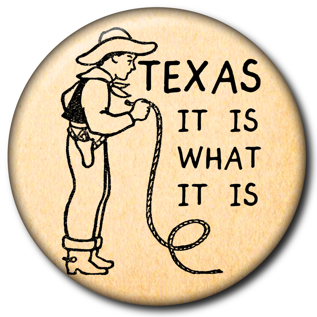 Texas It Is What It Is – Magnet