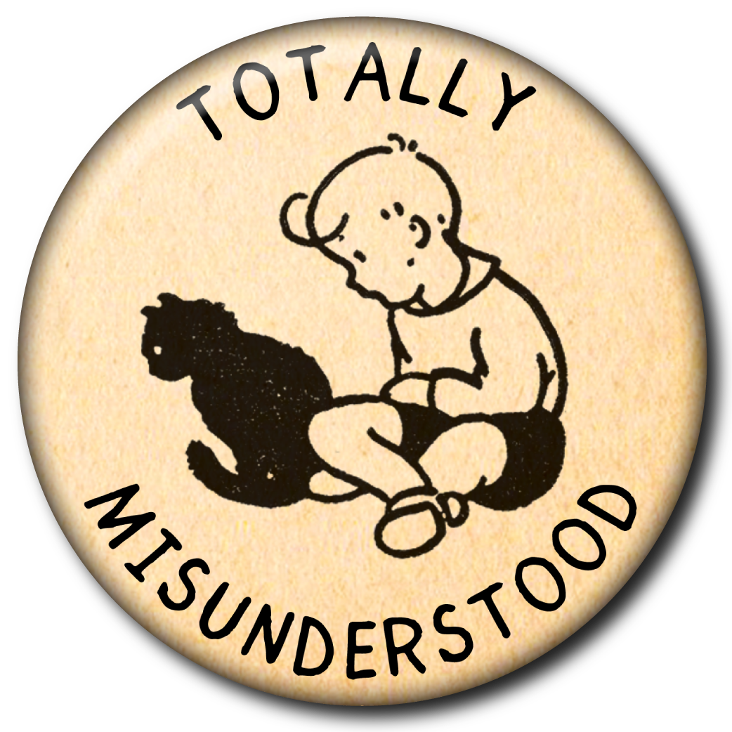 Totally Misunderstood – Magnet