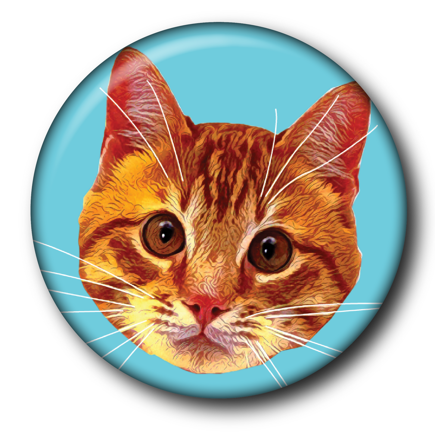 Fluorescent Felines (6-Pack) – Magnets