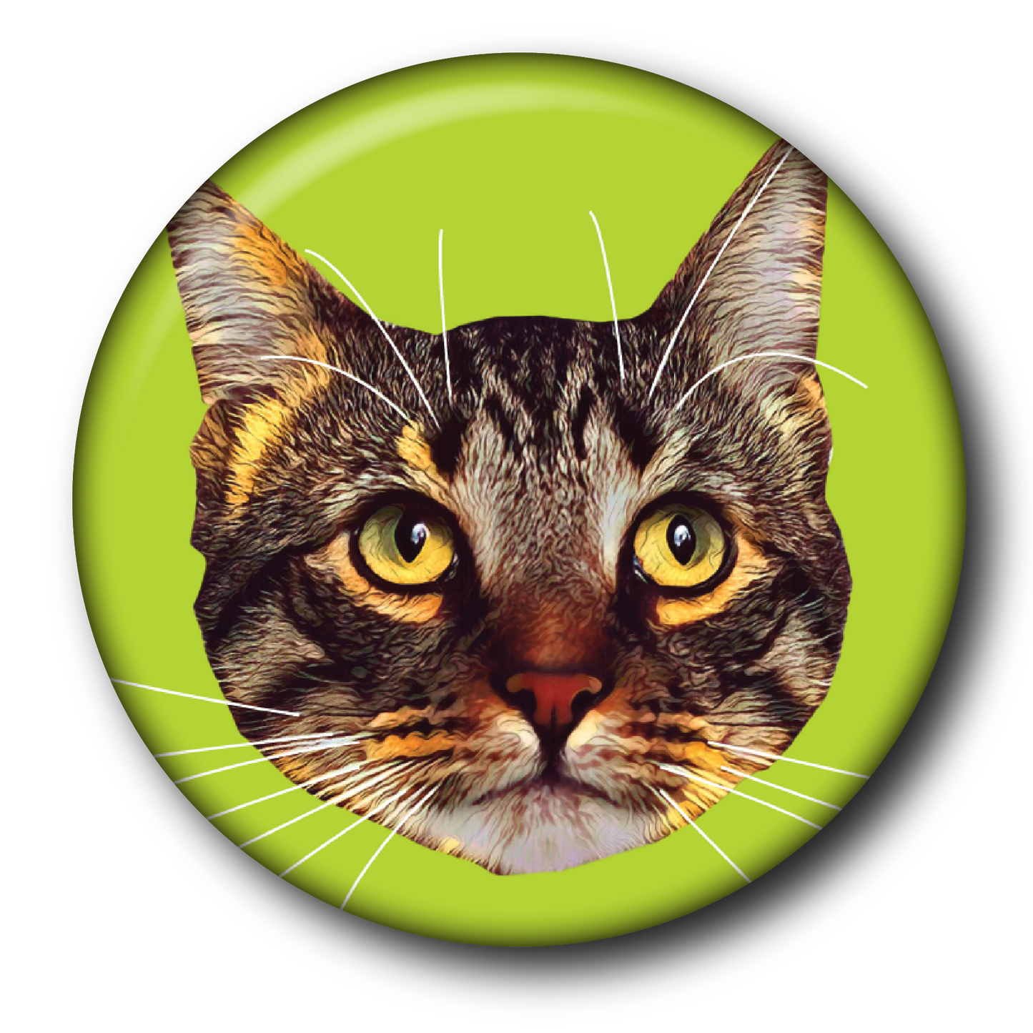 Fluorescent Felines (6-Pack) – Magnets